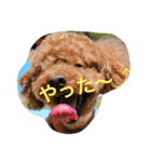 心・NO1（個別スタンプ：2）