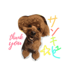 心・NO1（個別スタンプ：3）