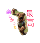 心・NO1（個別スタンプ：4）