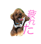心・NO1（個別スタンプ：5）