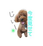 心・NO1（個別スタンプ：6）