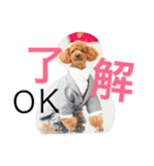 心・NO1（個別スタンプ：8）