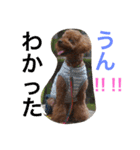 心・NO1（個別スタンプ：9）