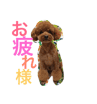 心・NO1（個別スタンプ：11）