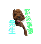 心・NO1（個別スタンプ：13）