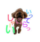 心・NO1（個別スタンプ：14）