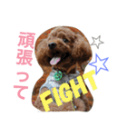心・NO1（個別スタンプ：15）