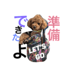 心・NO1（個別スタンプ：17）