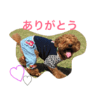 心・NO1（個別スタンプ：20）