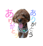 心・NO1（個別スタンプ：21）