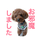 心・NO1（個別スタンプ：26）