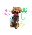 心・NO1（個別スタンプ：28）