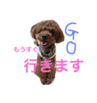 心・NO1（個別スタンプ：30）