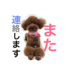 心・NO1（個別スタンプ：32）