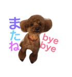 心・NO1（個別スタンプ：38）