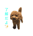 makatankobu（個別スタンプ：5）
