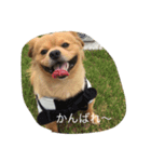 マックス ファミリー（個別スタンプ：5）