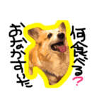ふぅらぶ（個別スタンプ：2）