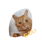 lucas（個別スタンプ：3）