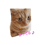 lucas（個別スタンプ：5）