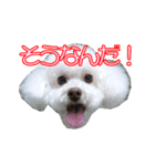 はなこの仲間たち☆（個別スタンプ：4）