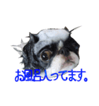 はなこの仲間たち☆（個別スタンプ：8）
