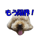 はなこの仲間たち☆（個別スタンプ：9）