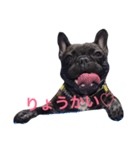 フレンチブルドッグのルイちゃん2（個別スタンプ：5）