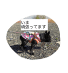 犬好きふれぶるスタンプ（個別スタンプ：6）
