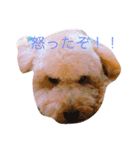 ～ジジくんの日常〜（個別スタンプ：2）