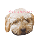 ～ジジくんの日常〜（個別スタンプ：4）