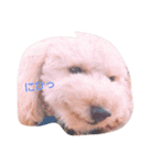 ～ジジくんの日常〜（個別スタンプ：6）