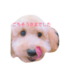 ～ジジくんの日常〜（個別スタンプ：7）