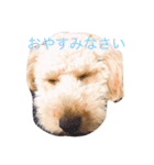 ～ジジくんの日常〜（個別スタンプ：8）
