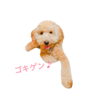 ～ジジくんの日常〜（個別スタンプ：9）