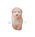 ～ジジくんの日常〜（個別スタンプ：11）