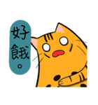 Mibo the Bengal cat's daily life（個別スタンプ：11）