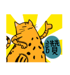 Mibo the Bengal cat's daily life（個別スタンプ：14）