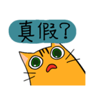 Mibo the Bengal cat's daily life（個別スタンプ：15）