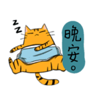 Mibo the Bengal cat's daily life（個別スタンプ：16）