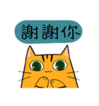 Mibo the Bengal cat's daily life（個別スタンプ：22）