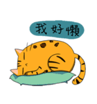 Mibo the Bengal cat's daily life（個別スタンプ：24）