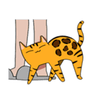 Mibo the Bengal cat's daily life（個別スタンプ：30）