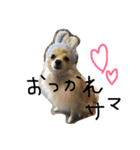 みるく.2（個別スタンプ：1）