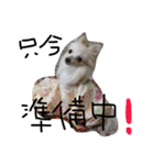 みるく.2（個別スタンプ：4）