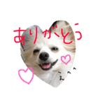 みるく.2（個別スタンプ：6）