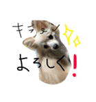 みるく.2（個別スタンプ：12）