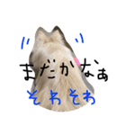 みるく.2（個別スタンプ：14）