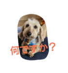 ミックス モカ（個別スタンプ：3）