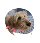 ミックス モカ（個別スタンプ：8）
